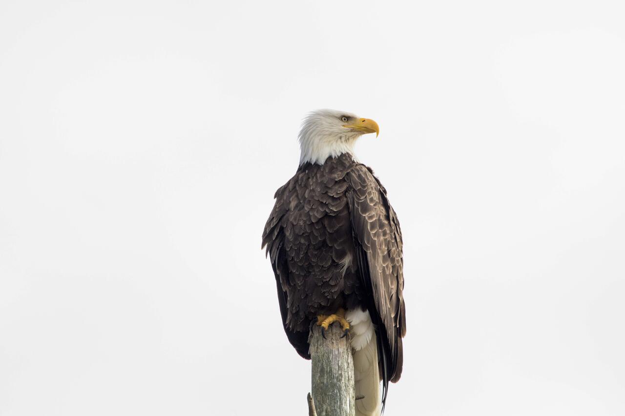 Eagles View Condo In Ocean Shores With 3 Balconies Buitenkant foto