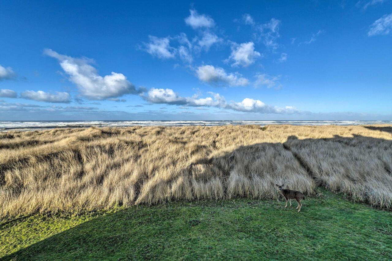 Eagles View Condo In Ocean Shores With 3 Balconies Buitenkant foto